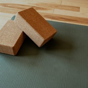 Cork Yoga Block Set